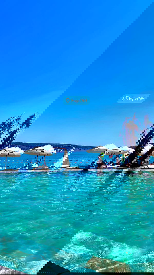 eceebayraktr image ~ Altpins