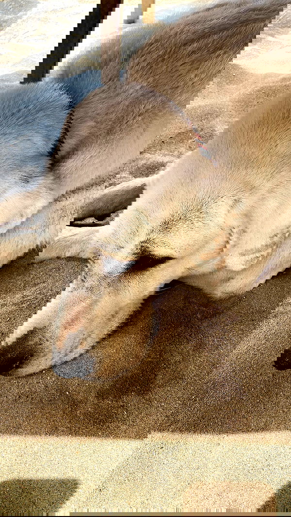 eceebayraktr image ~ Altpins