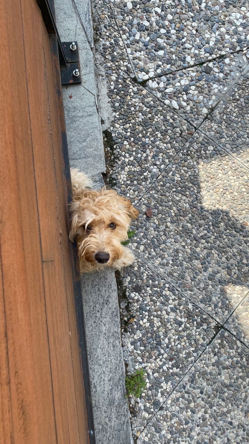 eceebayraktr instagram image archive image