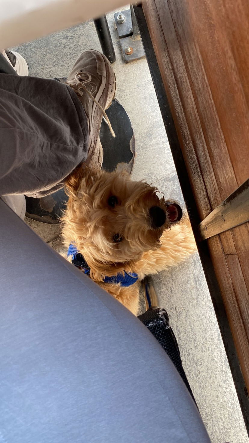 eceebayraktr instagram image archive image