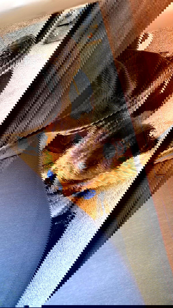 eceebayraktr image ~ Altpins