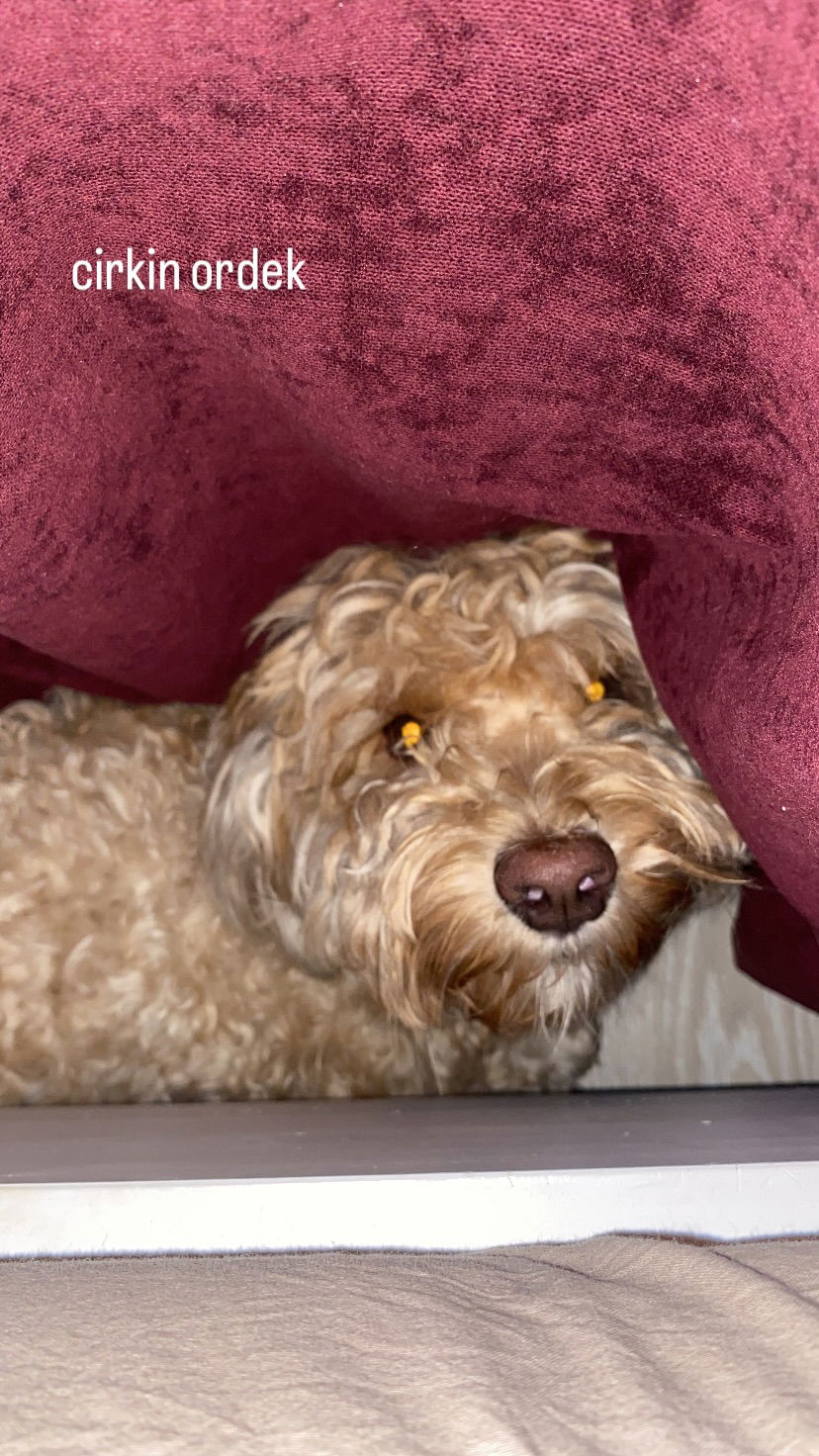 eceebayraktr instagram image archive image