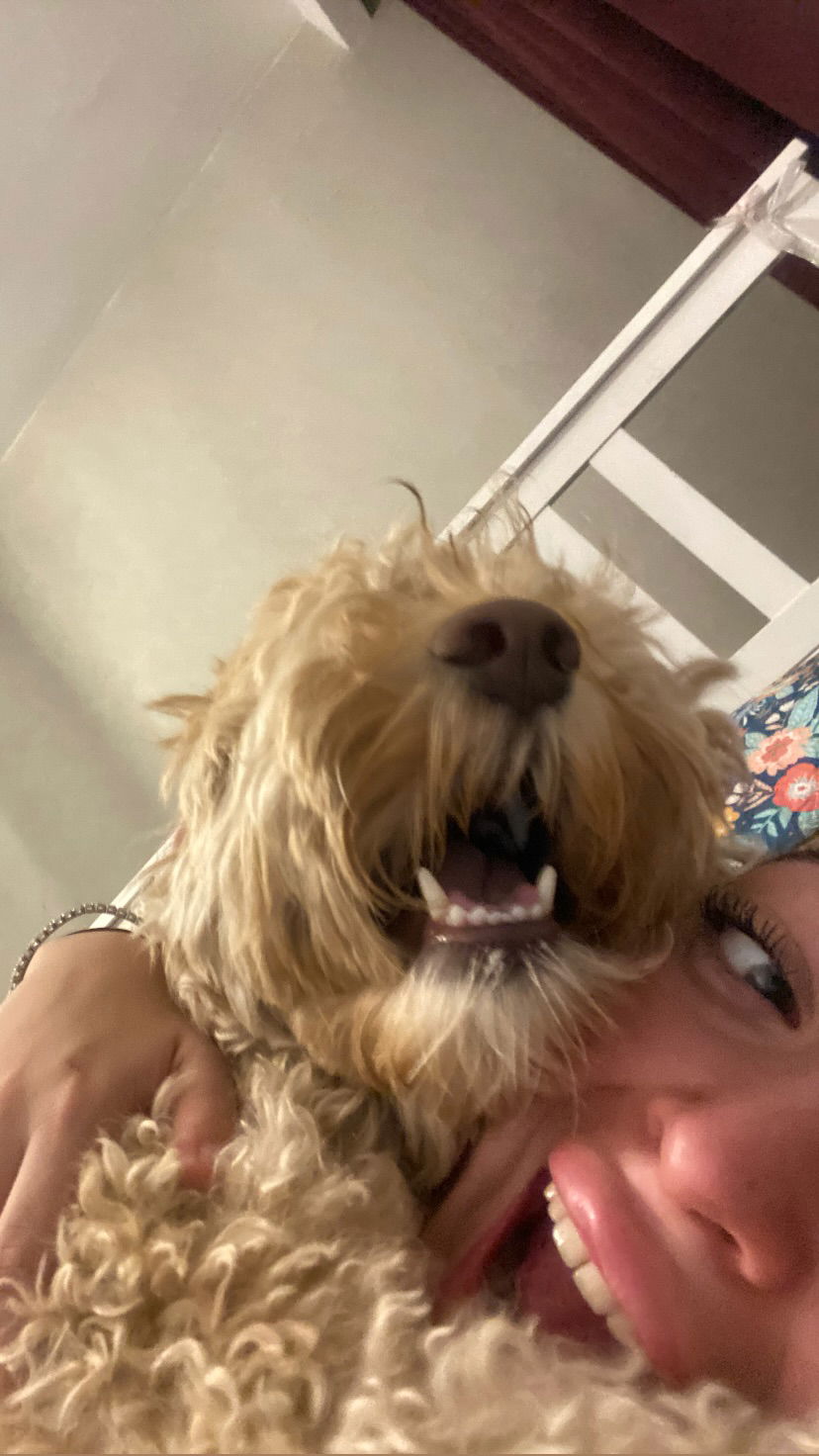 eceebayraktr instagram image archive image