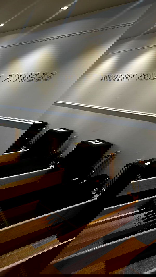 eden__alevy eden__alevy archive image