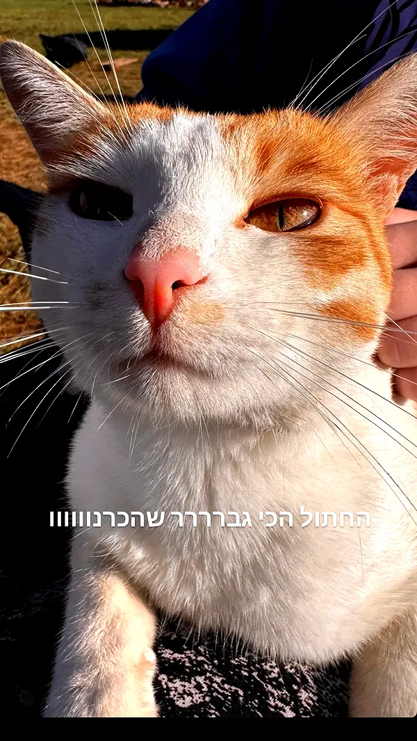 eden__j eden__j archive image