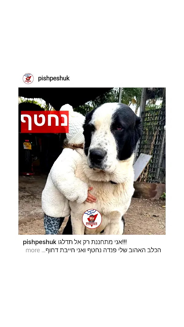 eden__j eden__j archive image