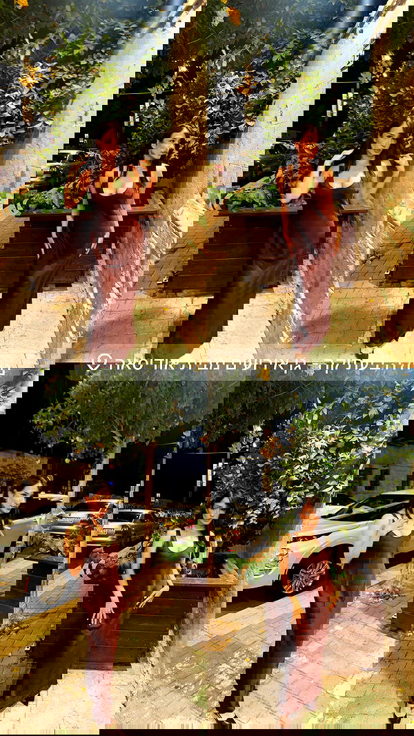 edentziru edentziru archive image