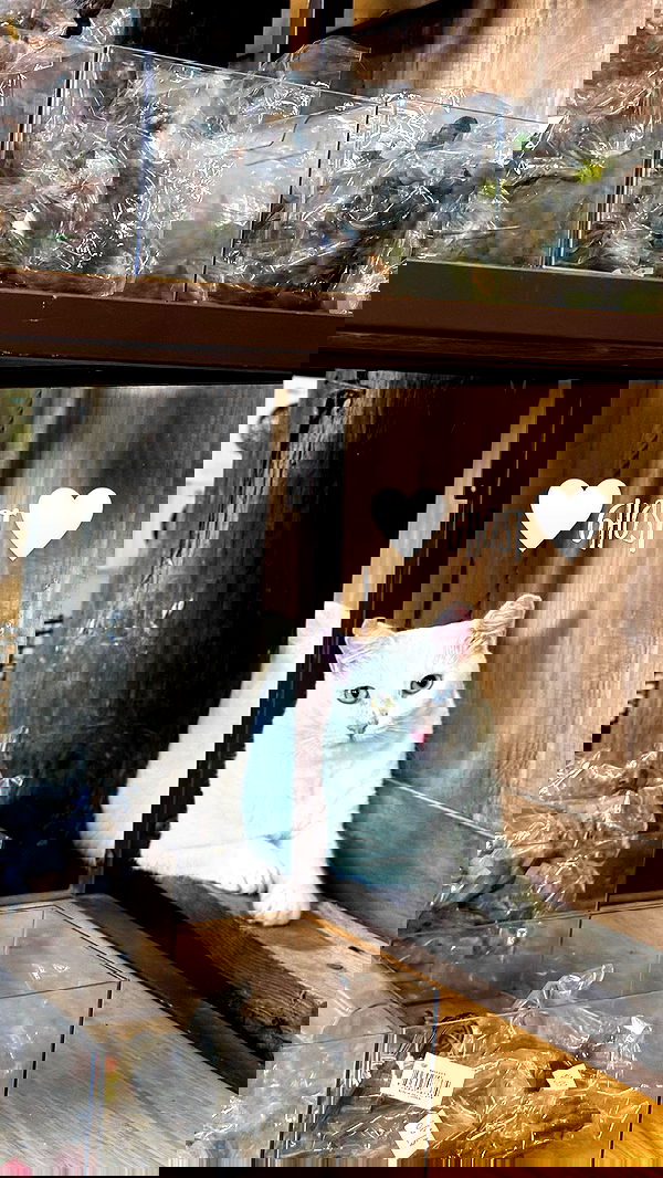 edin.karyn edin.karyn archive image