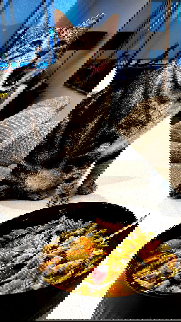 edin.karyn edin.karyn archive image