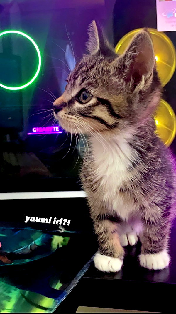 eevee.173 instagram image archive image