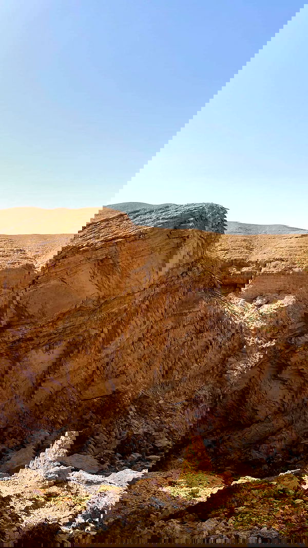 efrat_elmalich image ~ Altpins