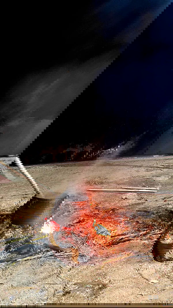 efrat_elmalich image ~ Altpins