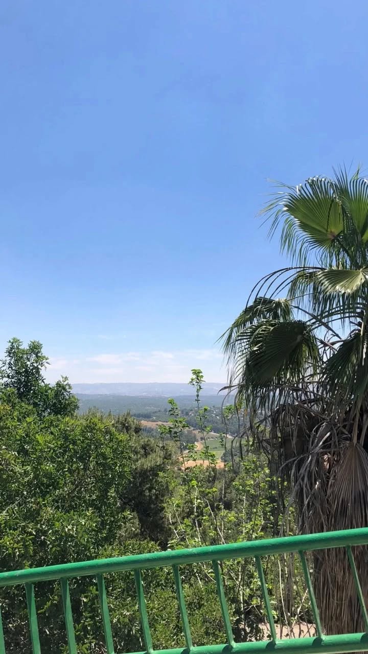 efrat_elmalich instagram image archive image