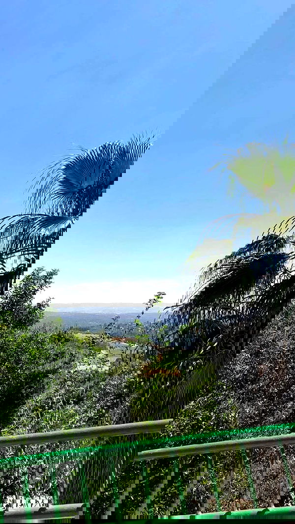 efrat_elmalich image ~ Altpins