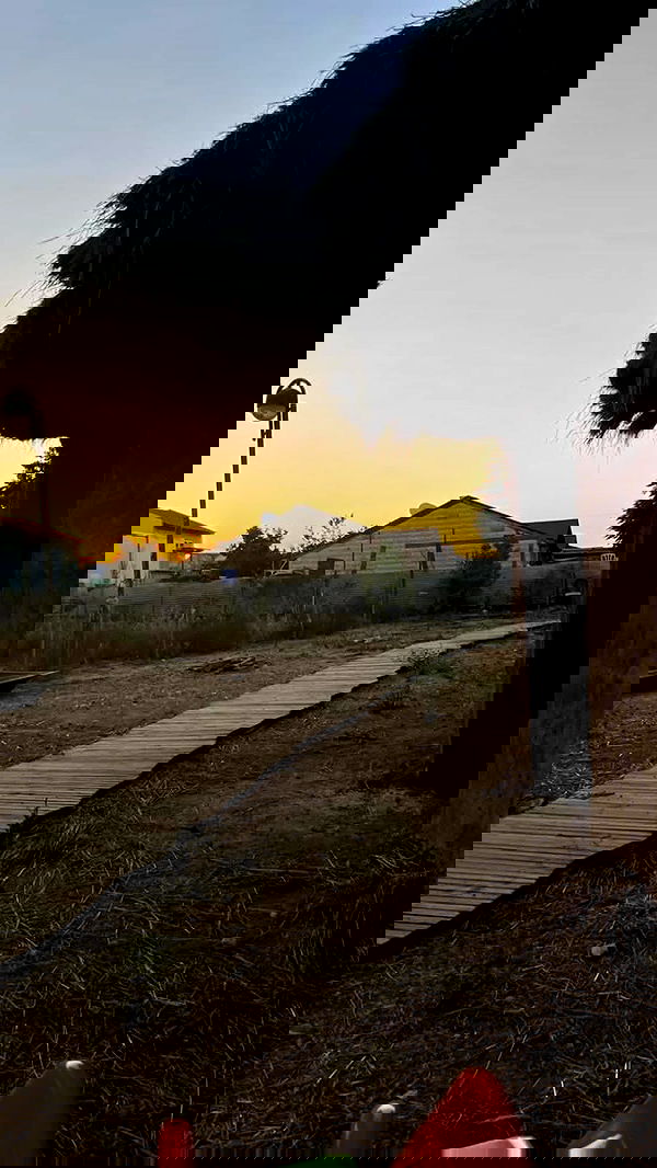 efrat_elmalich image ~ Altpins