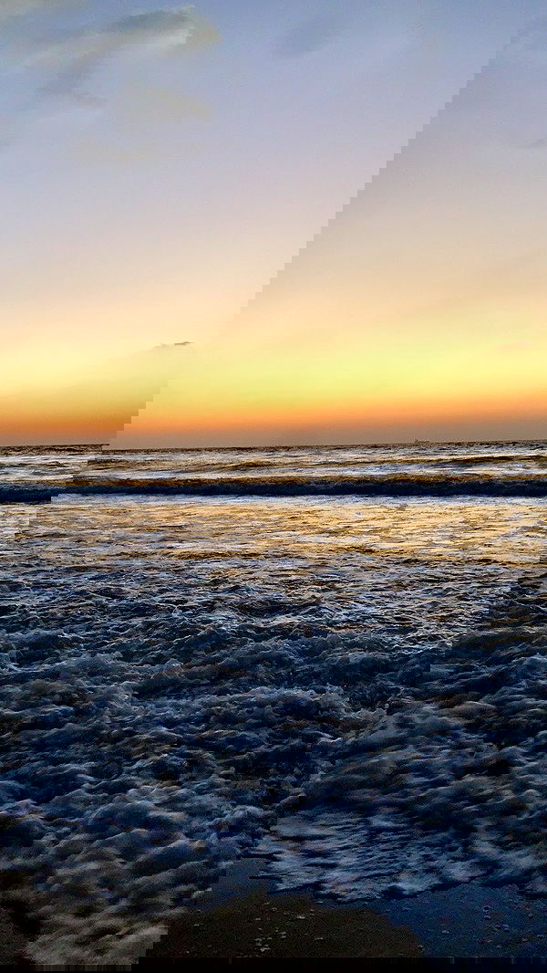 efrat_elmalich image ~ Altpins