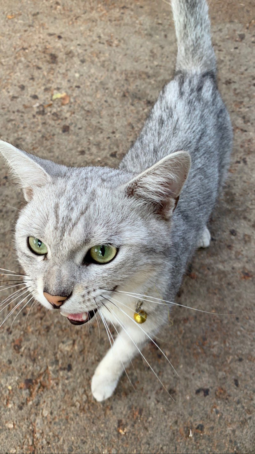 efrat_elmalich instagram image archive image