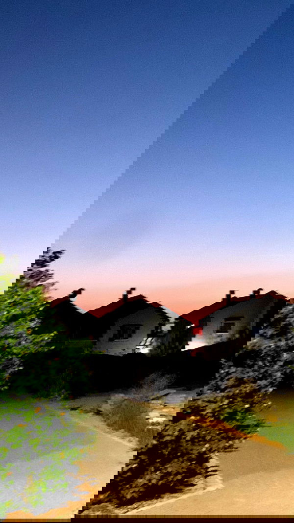 efrat_elmalich image ~ Altpins