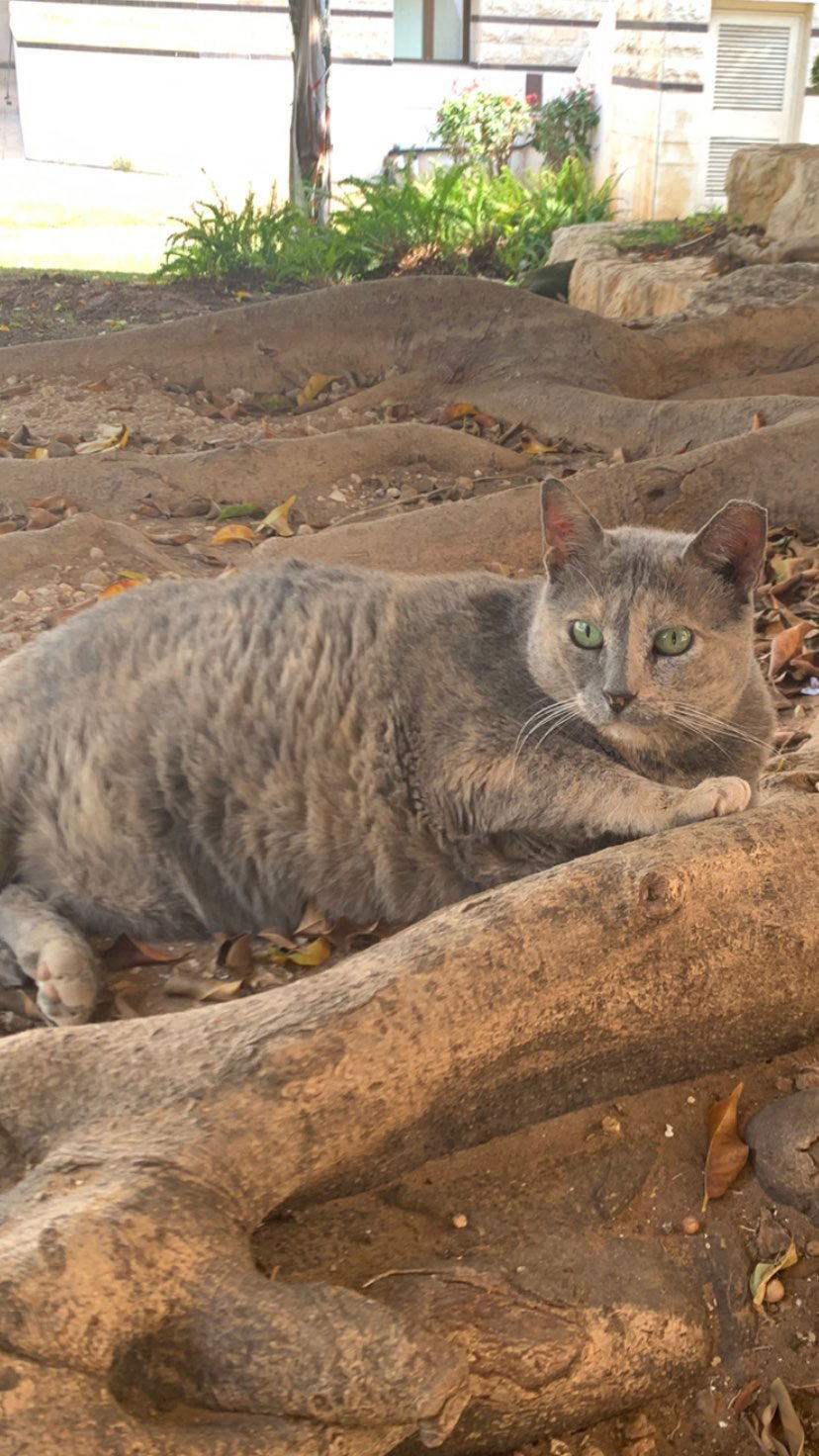 efrat_elmalich instagram image archive image