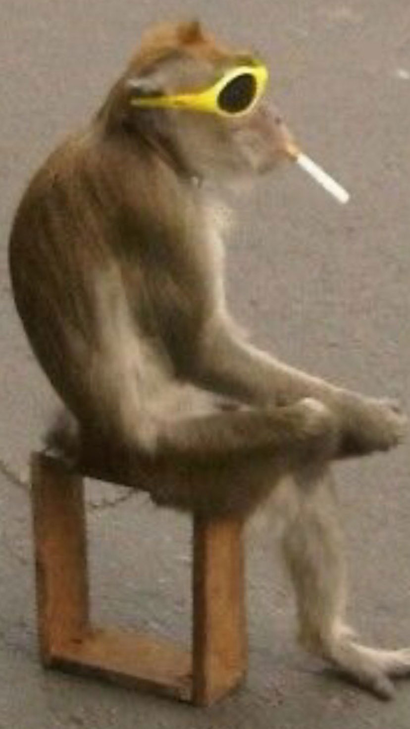 efrat_elmalich instagram image archive image