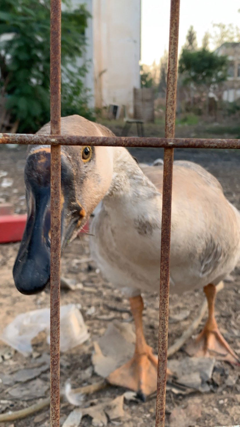 efrat_elmalich instagram image archive image