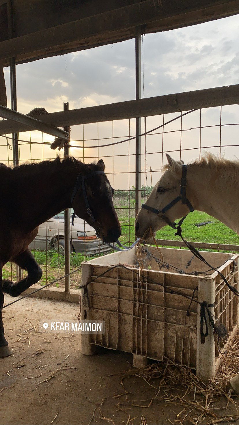 efrat_elmalich instagram image archive image