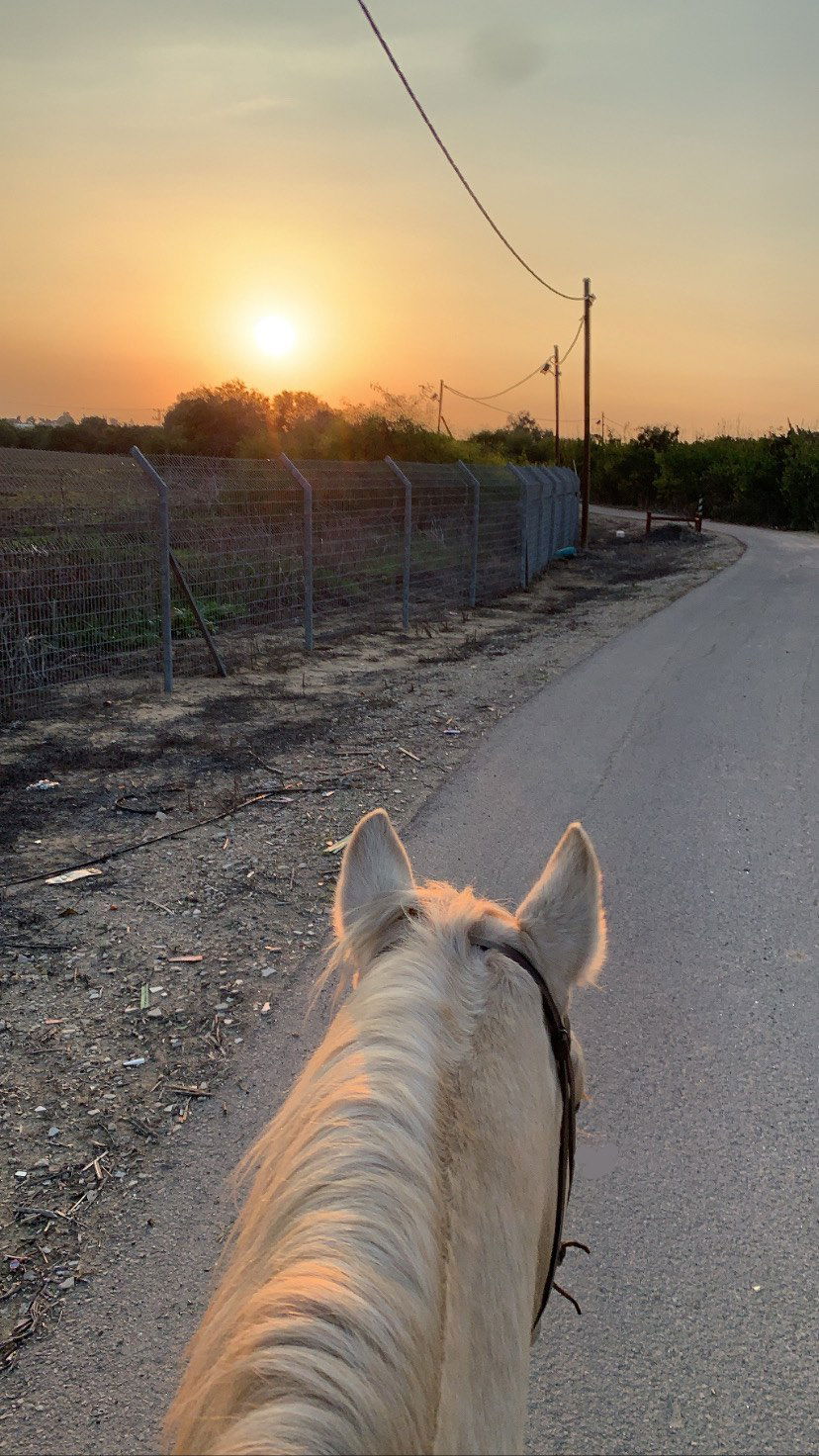 efrat_elmalich instagram image archive image