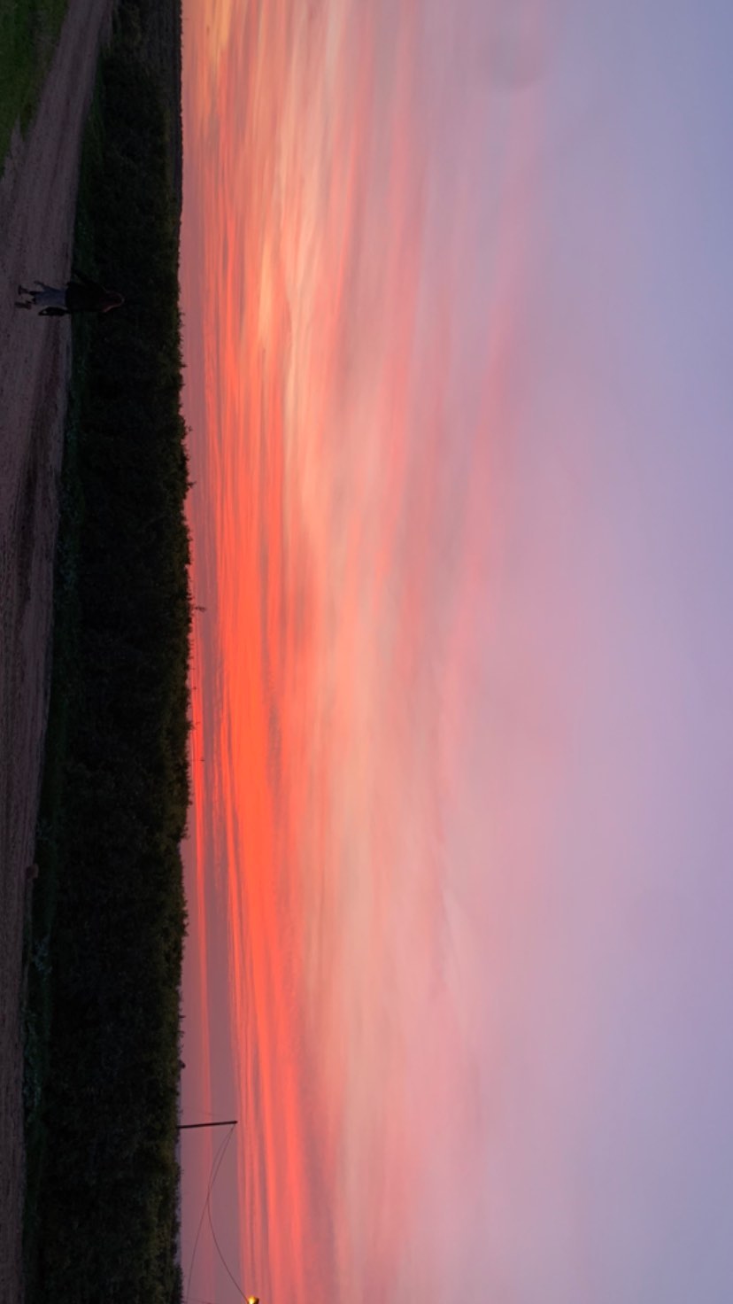 efrat_elmalich instagram image archive image