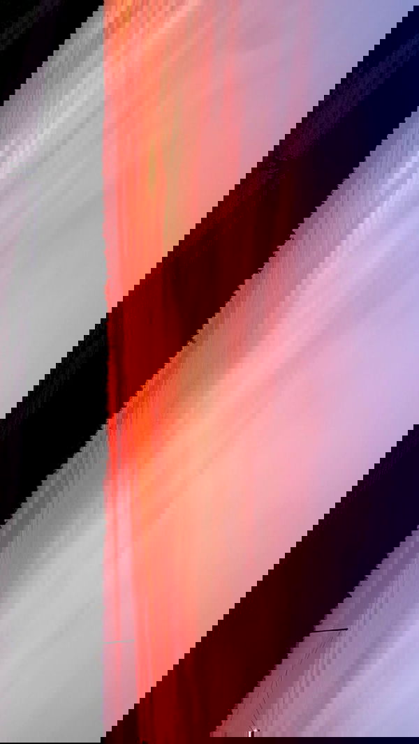 efrat_elmalich image ~ Altpins