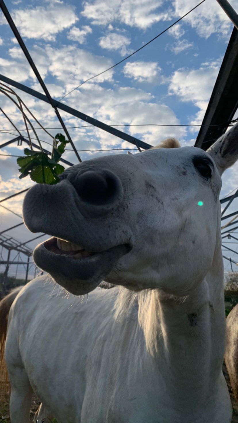 efrat_elmalich instagram image archive image