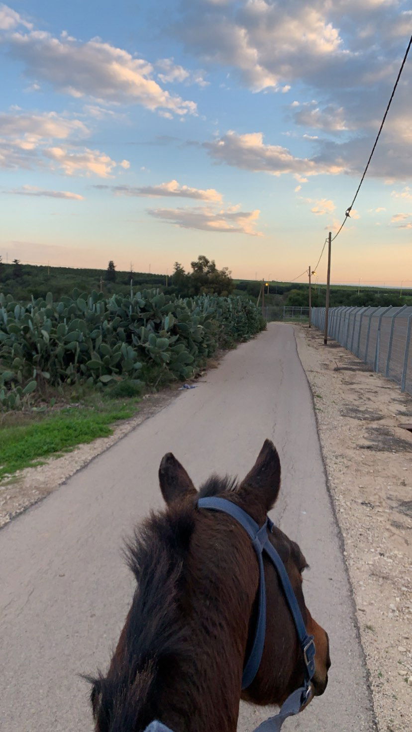 efrat_elmalich instagram image archive image