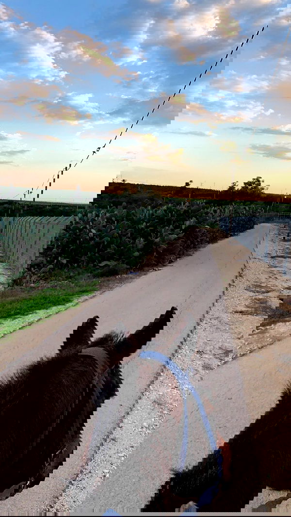 efrat_elmalich image ~ Altpins