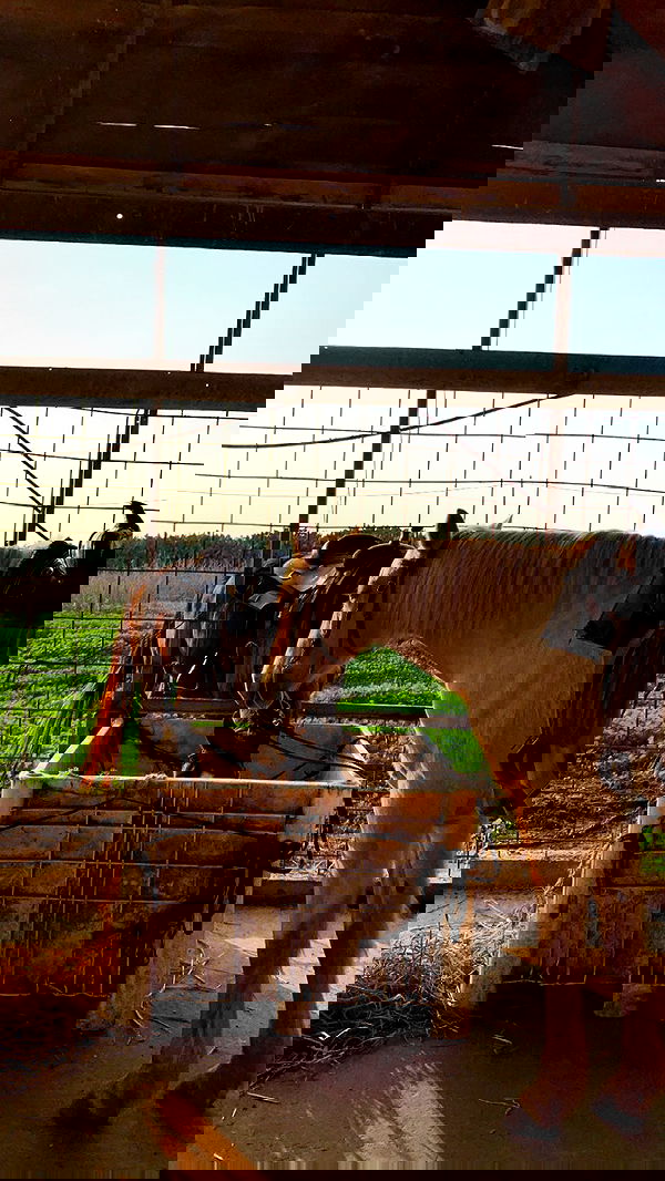 efrat_elmalich image ~ Altpins