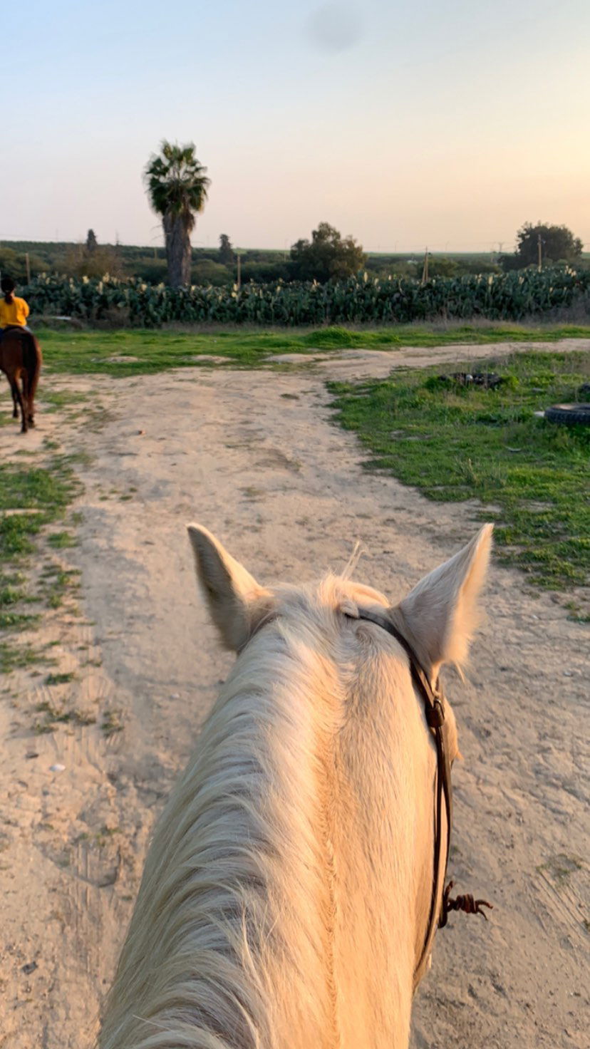 efrat_elmalich instagram image archive image