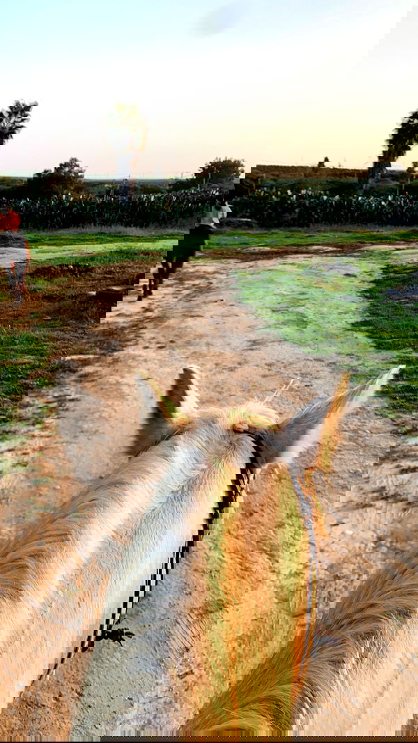 efrat_elmalich image ~ Altpins