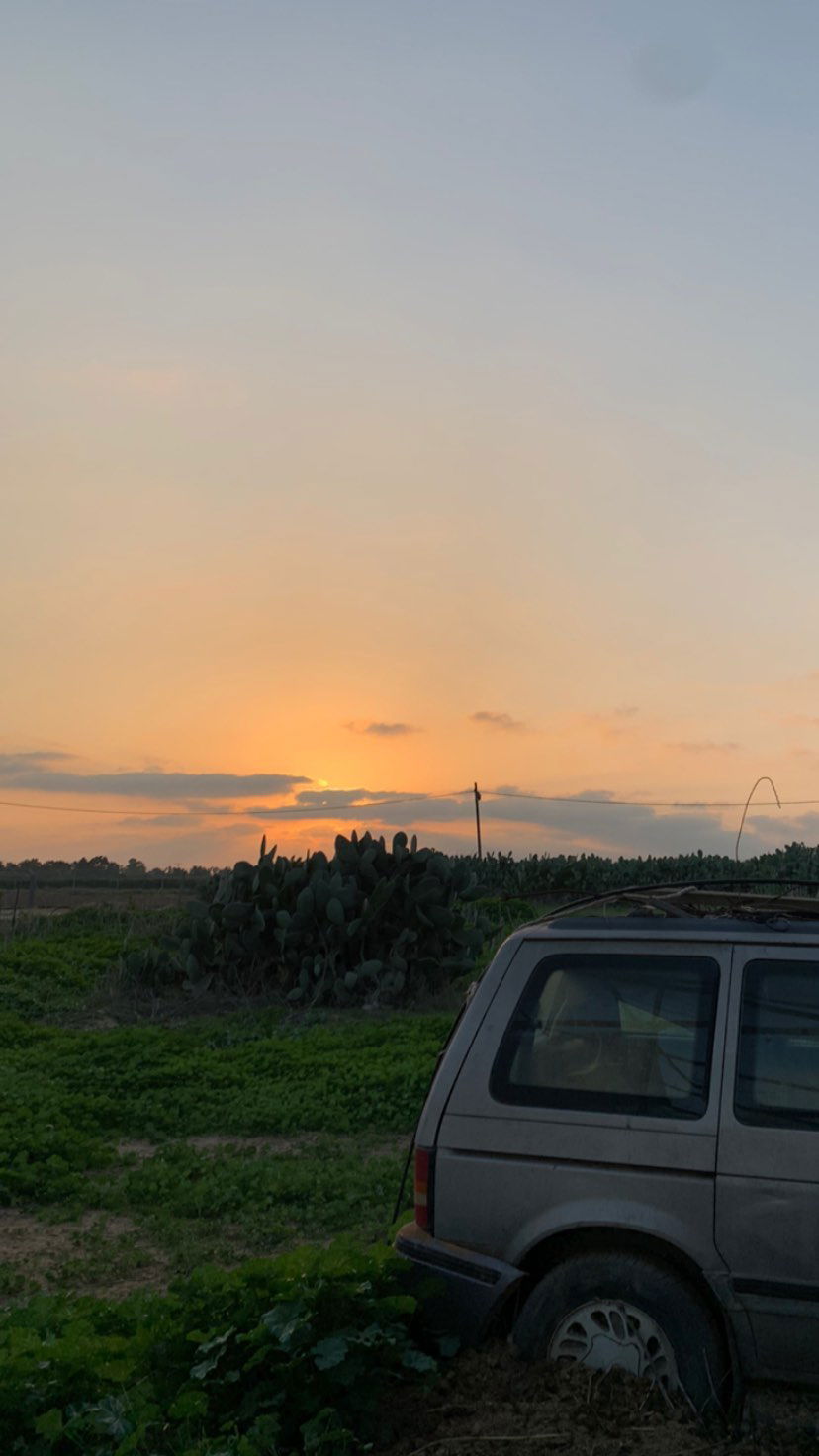 efrat_elmalich instagram image archive image