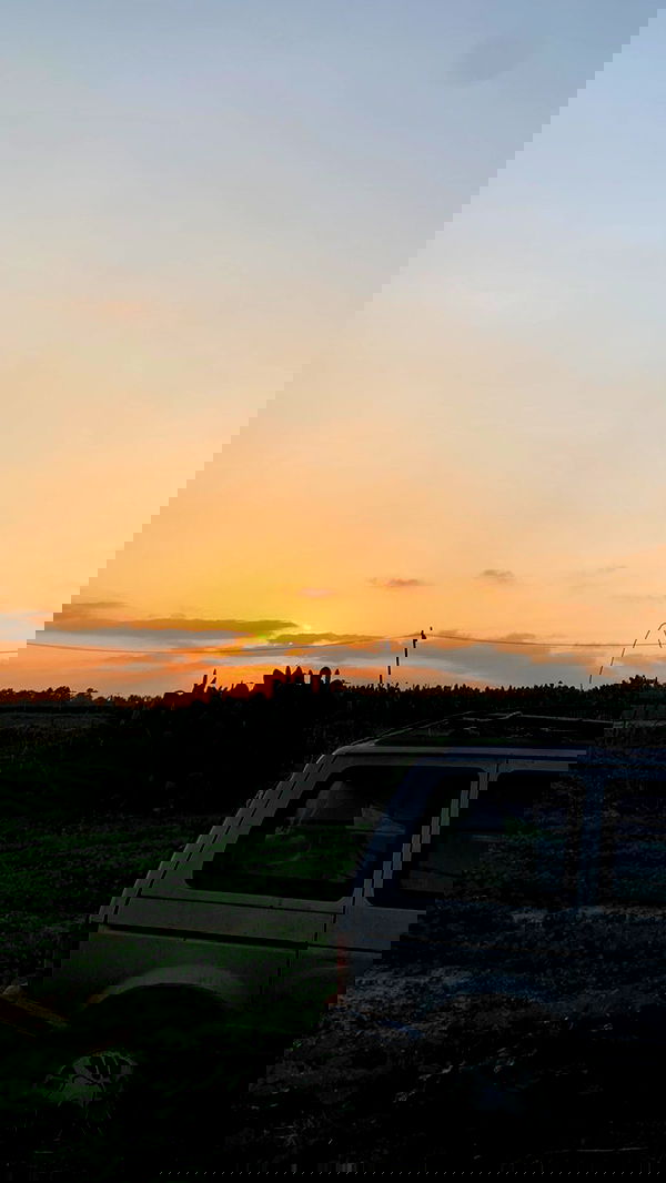 efrat_elmalich image ~ Altpins