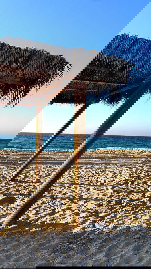 efrat_elmalich image ~ Altpins