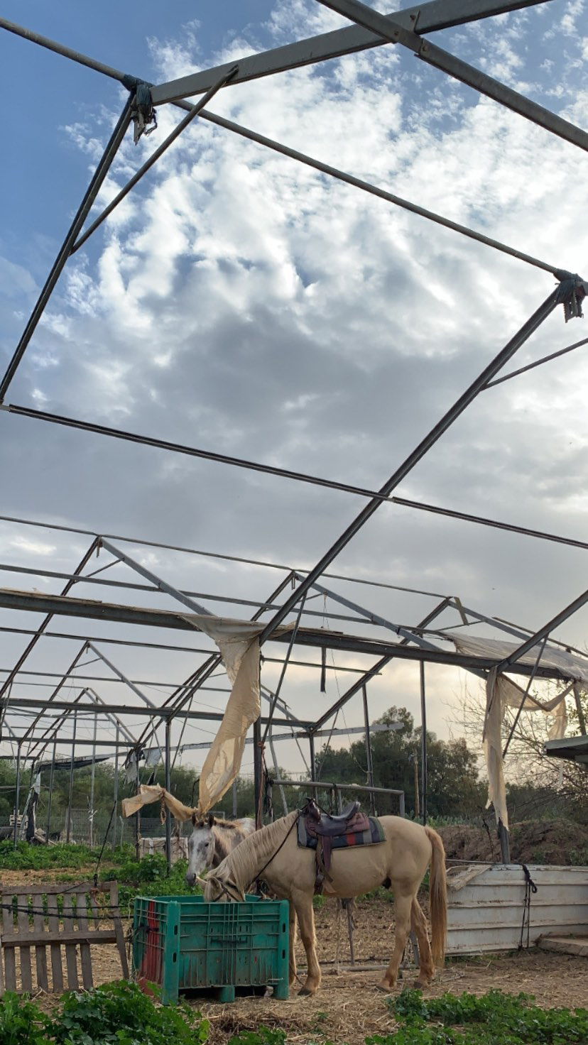 efrat_elmalich instagram image archive image