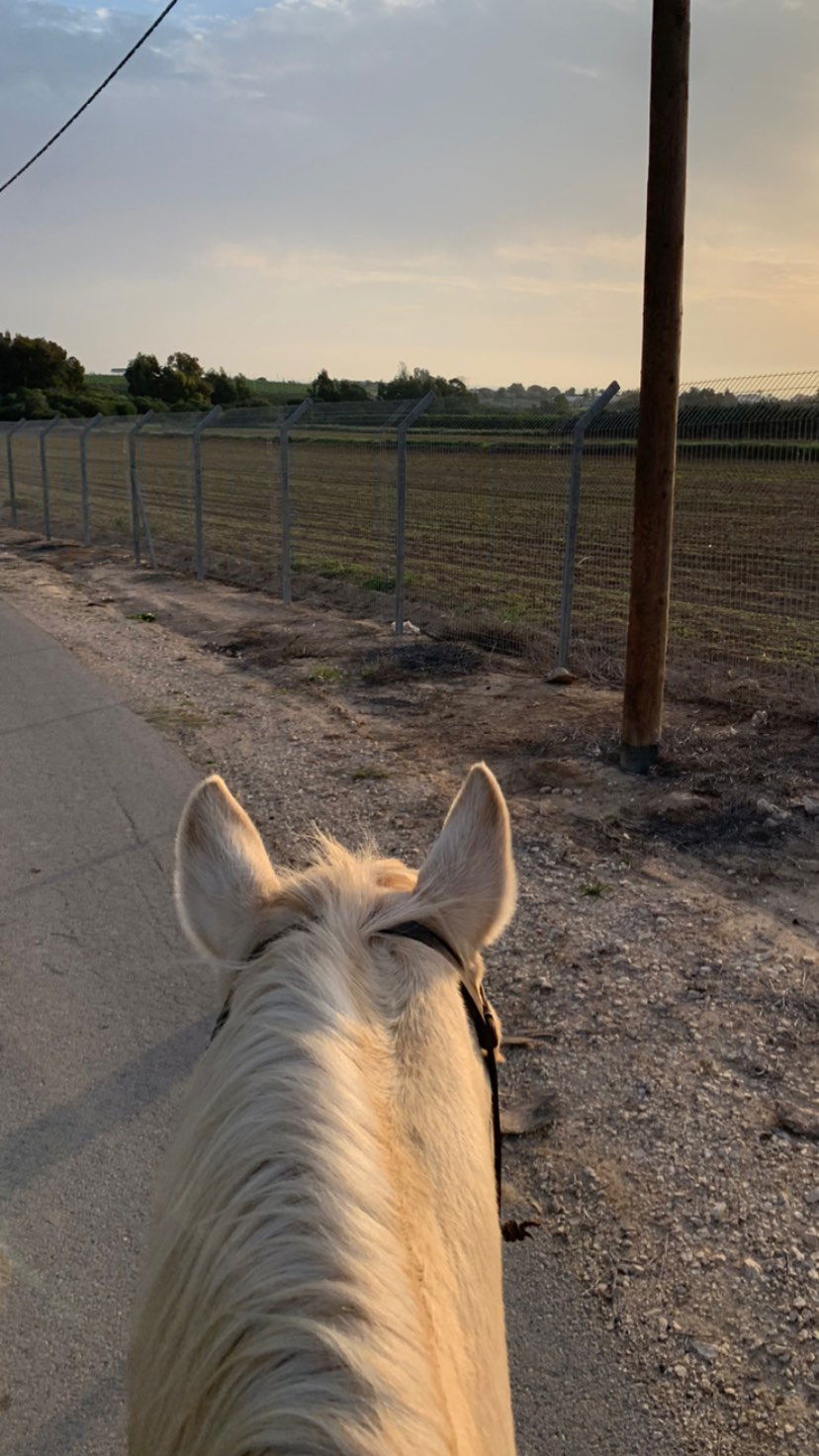 efrat_elmalich instagram image archive image