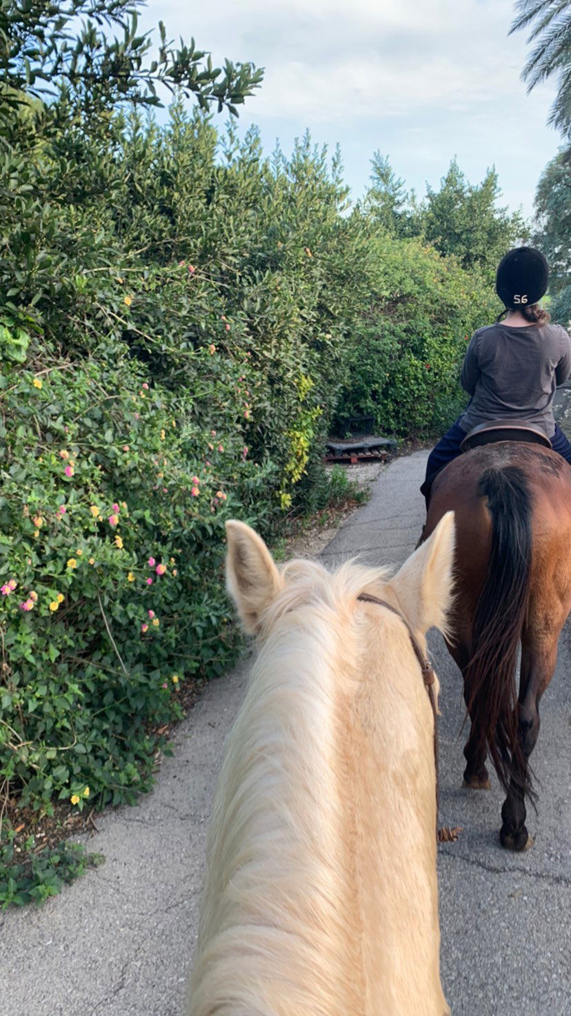 efrat_elmalich instagram image archive image