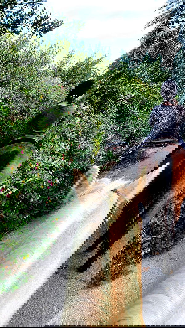 efrat_elmalich image ~ Altpins