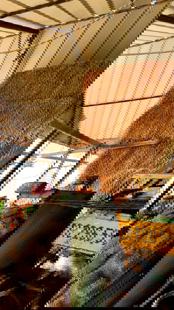 efrat_elmalich image ~ Altpins