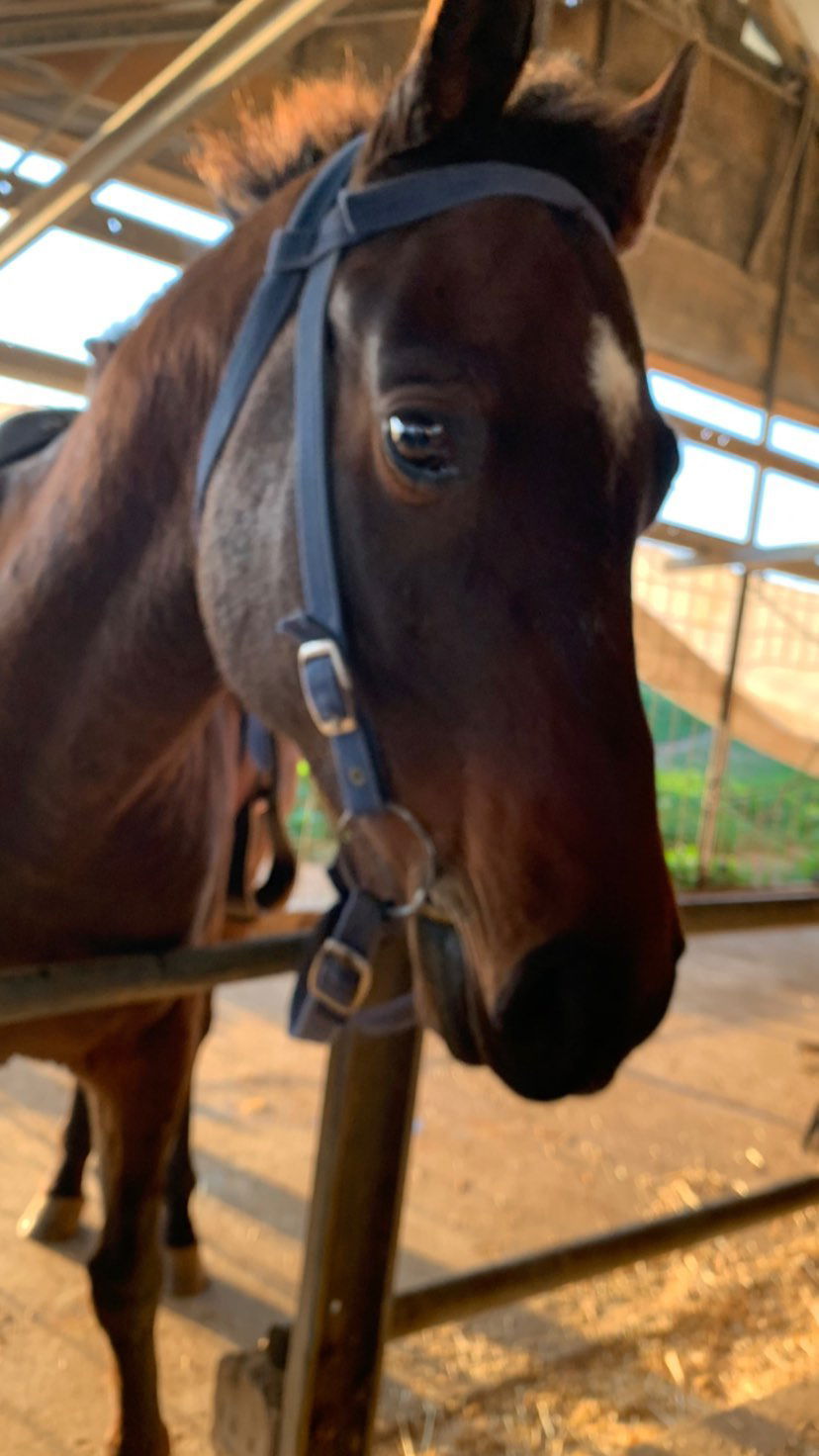 efrat_elmalich instagram image archive image