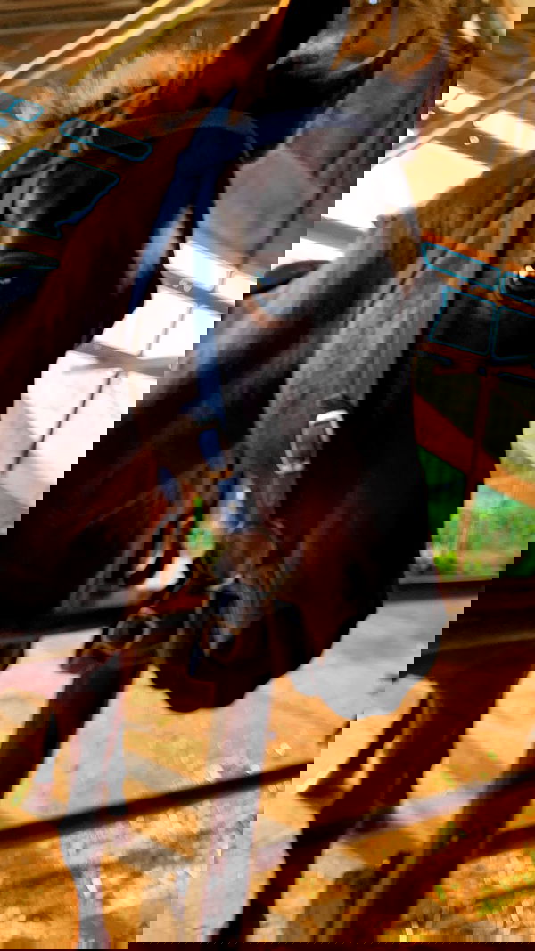 efrat_elmalich image ~ Altpins