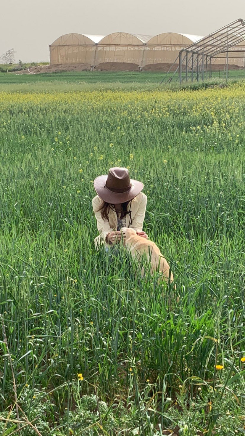 efrat_elmalich instagram image archive image