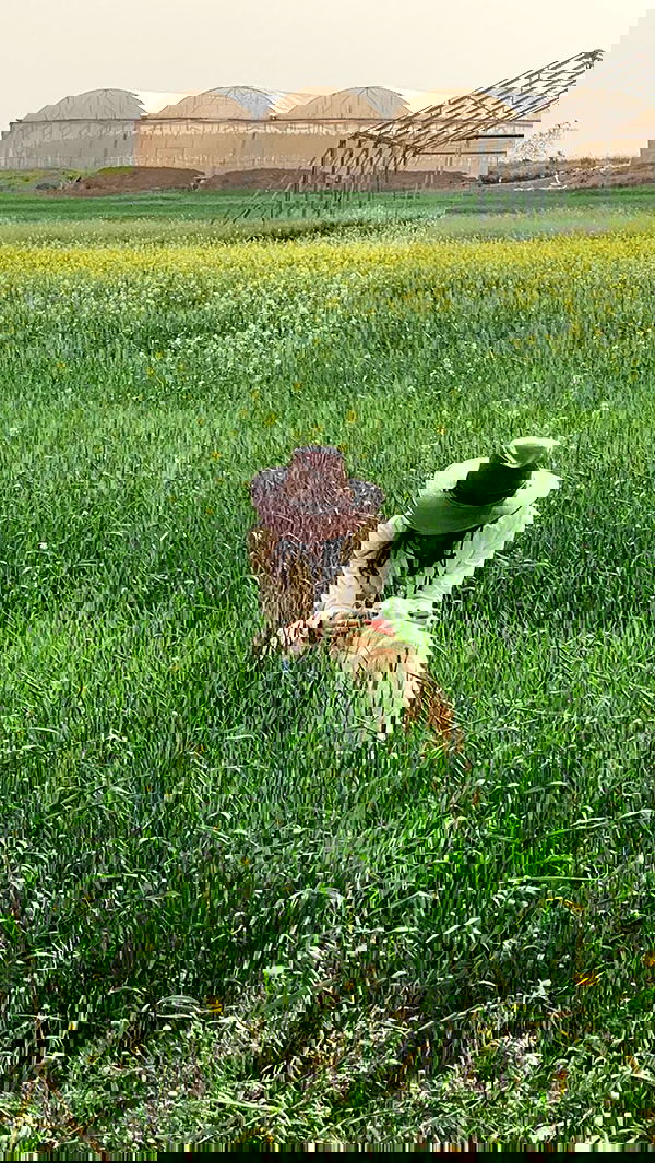 efrat_elmalich image ~ Altpins