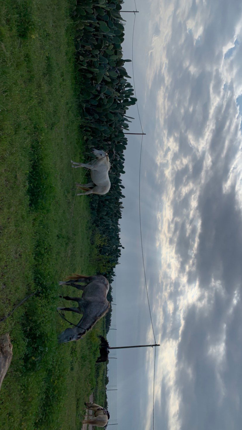 efrat_elmalich instagram image archive image