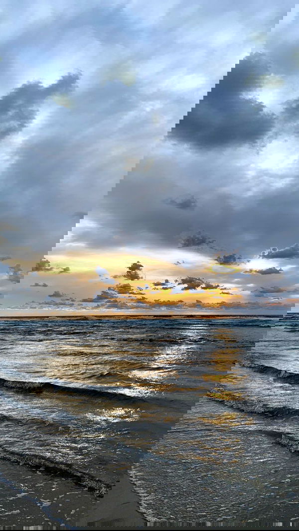 efrat_elmalich image ~ Altpins