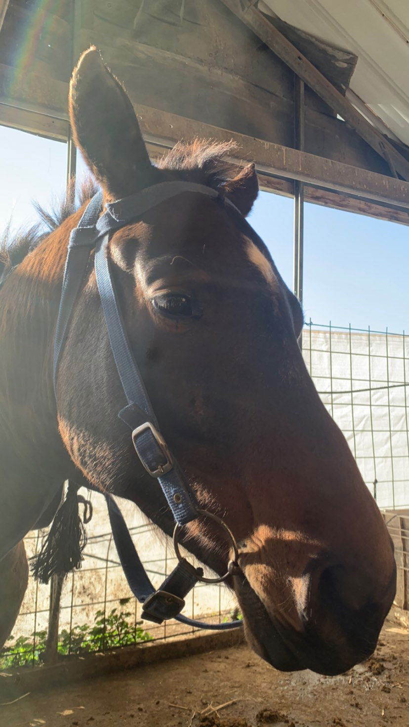 efrat_elmalich instagram image archive image